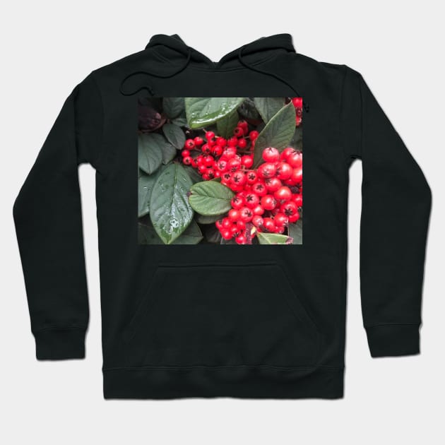 Red Christmas Berries of Harmony and Generosity Hoodie by Photomersion